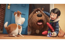 Kis kedvenceink titkos élete - az új előzetes