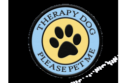 Brutálisan kegyetlenséggel megöltek egy terápiás kutyát Zalaegerszegen