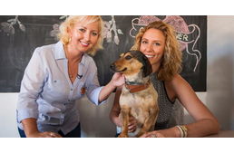 Tévésztár lesz a Bors szerkesztőségi kutyusából!