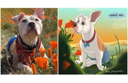 Tündéri mesefigurákká varázsolja a sérült és csúnyácska kutyákat, cicákat a művész