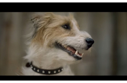 Nyaralás kutya nélkül? Soha!