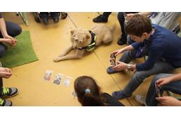 Segítőkutyák az iskolákban és óvodákban az esélyegyenlőségért