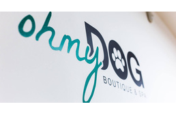 Elérhető luxus kedvencednek? Igen!