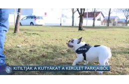 Kitiltják a kutyákat a X. kerület parkjaiból
