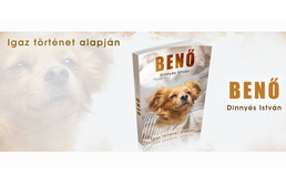 Benő igaz története