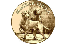 Magyar vizslás emlékérme kerül kibocsátásra szeptemberben