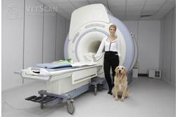 Furcsa tüneteket produkál kedvenced? Mától neki is kérhetsz MR-vizsgálatot!