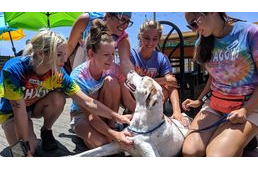 A lehető legszebb hétvégével ajándékozta meg családja az öreg, beteg kutyát