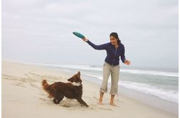 Az egészségügyi költségeken is spórolhatsz, ha kutyát tartasz!