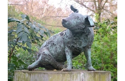 A múlt szelleme: egy kutya, aki áldozatával megváltoztatta az állatkísérletek megítélését