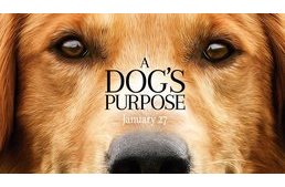 Megérkezett a legújabb kutyás mozifilm előzetese