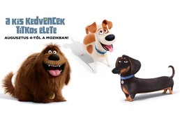 Pár nap és megérkezik a mozikba A kis kedvencek titkos élete!