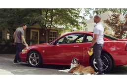 A kutya, aki Mustanggal szeret száguldani