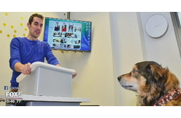 Lámpalázas vagy, ha mások előtt kell beszélned? Erre is a kutya a megoldás!