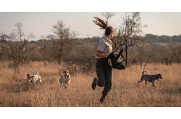 Nem kegyelmeznek a kutyák az orvvadászoknak: már 45 orrszarvút megmentettek a kiképzett ebek
