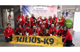 Világbajnoki dobogón a Magyar Agility Válogatott