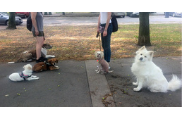 Alapengedelmesség: tudni nem elég, alkalmazni is kell!