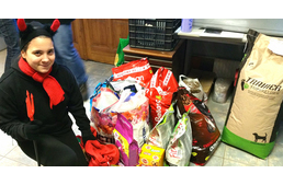 Az árva állatokhoz is megérkezett a Mikulás