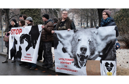 Hiába tüntettek az állatvédők a szegedi férfi szigorúbb büntetéséért, aki baltával vágta fejbe kutyáját