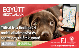 Segíts, hogy segíthessünk - nyereményjáték a findlost24-el!