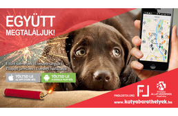 Segíts, hogy hazataláljon!