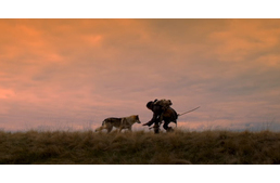 Farkasból barát - új kutyás mozifilm jön!