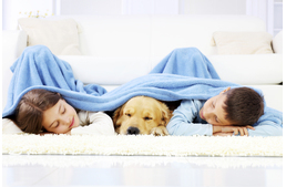 Te hogyan alszol kutyáddal? 