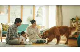 Bűbájos kutyás videó az Amazon áruháztól