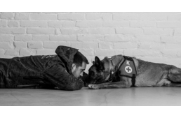 Aqua, a világbajnok mentőkutya átkelt a szivárványhídon