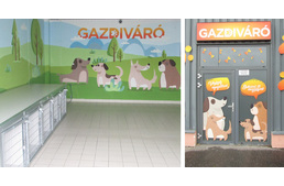 Gazdivárót alakított ki a budakalászi áruház