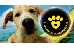 Segítségeteket kéri az Állatvédők Vasi Egyesülete