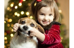 Kisgyerekek vs. kutyák 1.