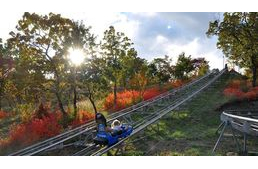 Kutyával a bobpályán? Egy balatoni nyár emlékei