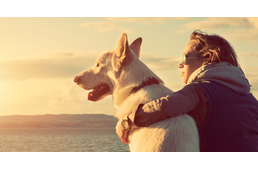 Közös genetikai gyökerei vannak az ember és a kutyák túlzott barátságosságának