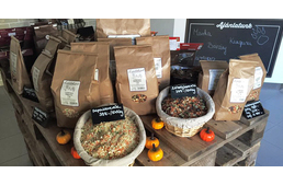 Kuriózum Magyarországon: gasztrobolt nyílt kutyáknak!