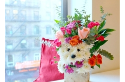 Kutyás a barátnőd? Lepd meg kutyás virágcsokorral!