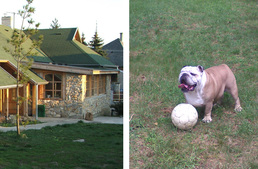 Kutyajó szállásajánló