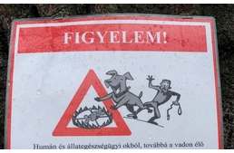 Ölőcsapdákat helyeztek ki Esztergom környékén