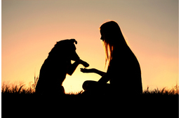 Kutya-ember dominancia – Ki az úr a háznál? 
