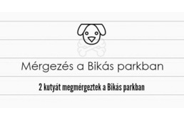 Kutyamérgezés a Bikás parkban