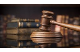 Letöltendőt kapott állatkínzás miatt egy mohácsi férfi