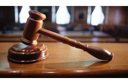 Megkezdődött az éheztetett német vizsla ügyének tárgyalása