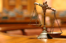 Elítélte a bíróság az állatkínzó állatorvost