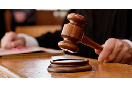 Felfüggesztett börtönt kapott a kölyökkutya-gyilkos