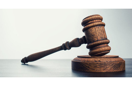 Elzárást és pénzbüntetést kapott két állatkínzó