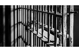 Börtönbe került egy brit férfi, mert nem biztosított megfelelő orvosi ellátást kutyáinak