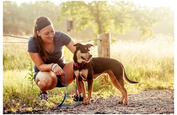 "Először meg kell tanulni, hogy mi az a kutya, miből áll, hogy működik"