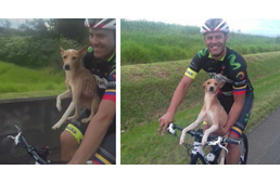 Kóbor kutyát találtak a bringások a túrájukon - ölbe kapták, úgy tekertek tovább