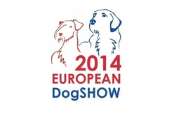 Magyar sikerek Csehországban