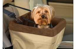 Kutyaszállító boxok biztonságát tesztelték - meglepő eredményre jutottak